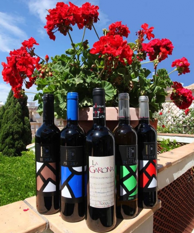 descubre nuestros vinos